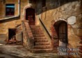 /album/galleria-foto-homepage/campagna-jpg/